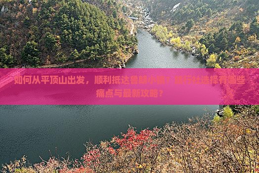 如何从平顶山出发，顺利抵达鲁朗小镇？旅行社选择有哪些痛点与最新攻略？