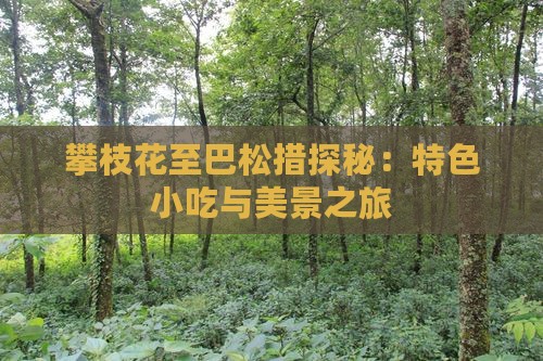 攀枝花至巴松措探秘：特色小吃与美景之旅