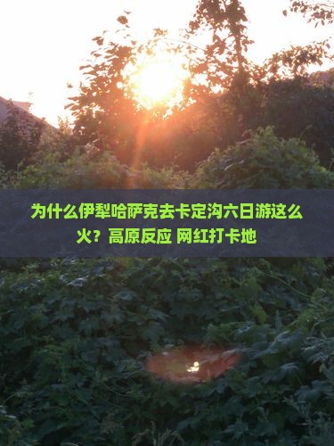 为什么伊犁哈萨克去卡定沟六日游这么火？高原反应+网红打卡地