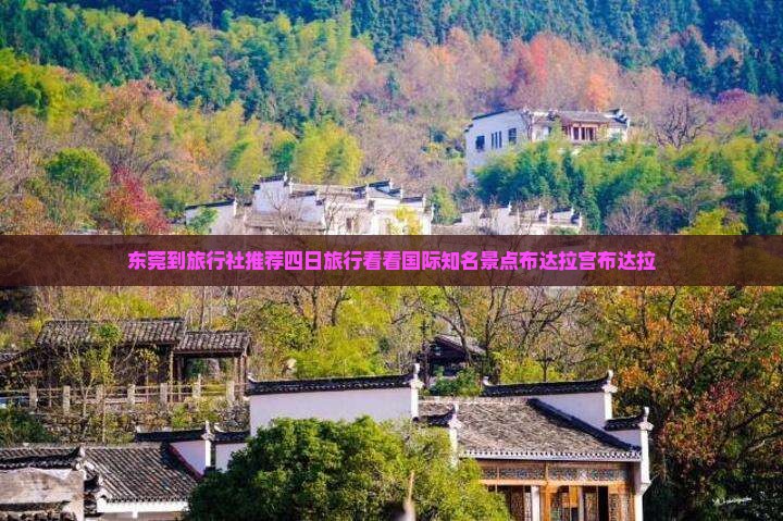 东莞到旅行社推荐四日旅行看看国际知名景点布达拉宫布达拉