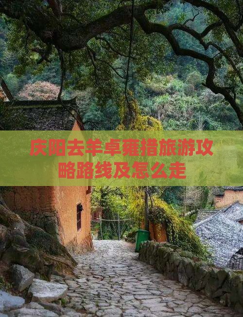 庆阳去羊卓雍措旅游攻略路线及怎么走