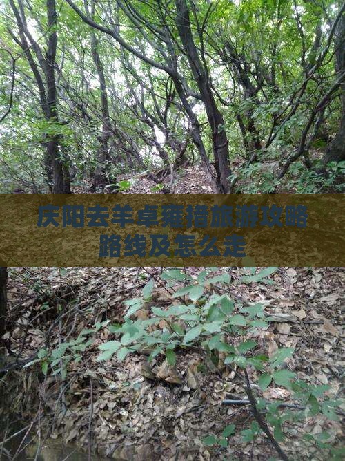 庆阳去羊卓雍措旅游攻略路线及怎么走