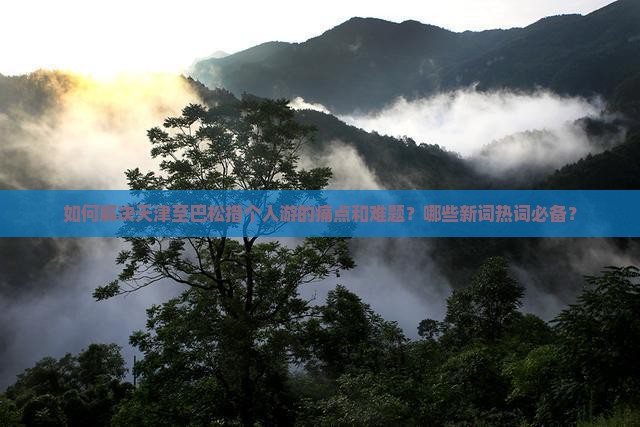 如何解决天津至巴松措个人游的痛点和难题？哪些新词热词必备？