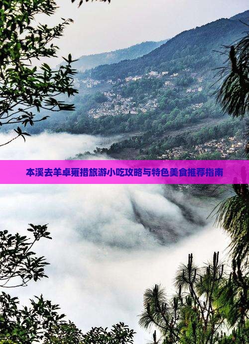 本溪去羊卓雍措旅游小吃攻略与特色美食推荐指南