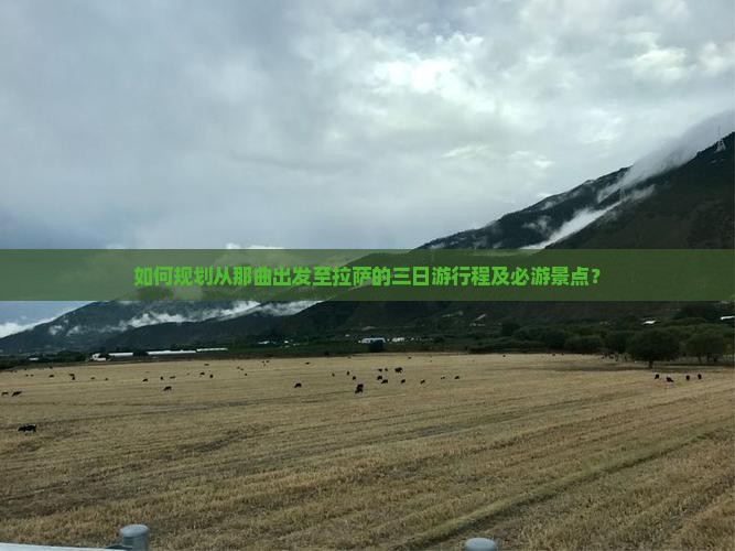 如何规划从那曲出发至拉萨的三日游行程及必游景点？