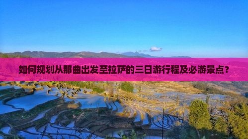 如何规划从那曲出发至拉萨的三日游行程及必游景点？