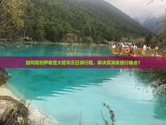 如何规划伊春至大昭寺五日游行程，解决高海拔旅行痛点？
