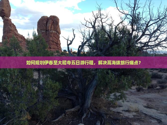 如何规划伊春至大昭寺五日游行程，解决高海拔旅行痛点？