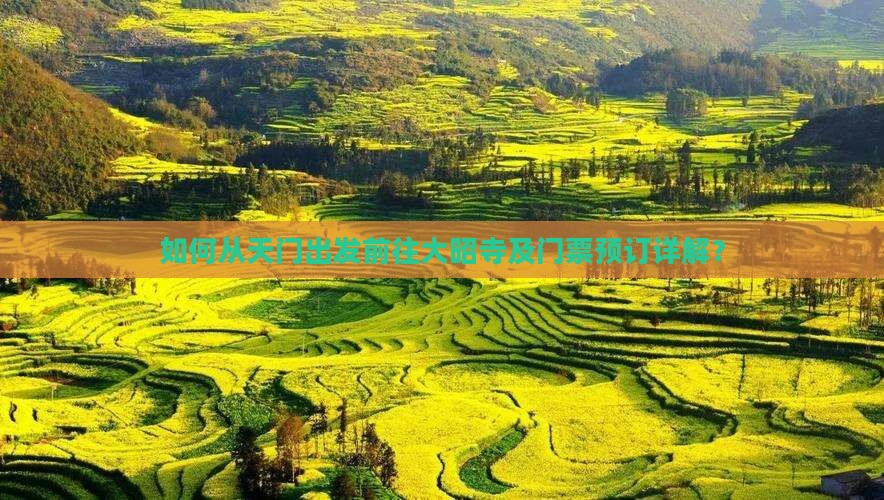 如何从天门出发前往大昭寺及门票预订详解？