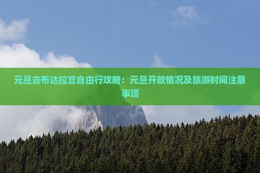 元旦去布达拉宫自由行攻略：元旦开放情况及旅游时间注意事项