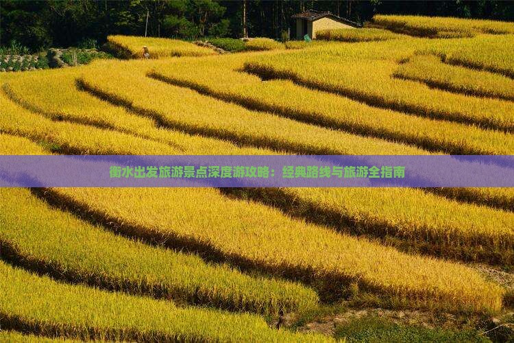 衡水出发旅游景点深度游攻略：经典路线与旅游全指南