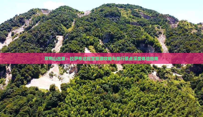 双鸭山出发：拉萨布达拉宫旅游攻略与旅行景点深度体验指南