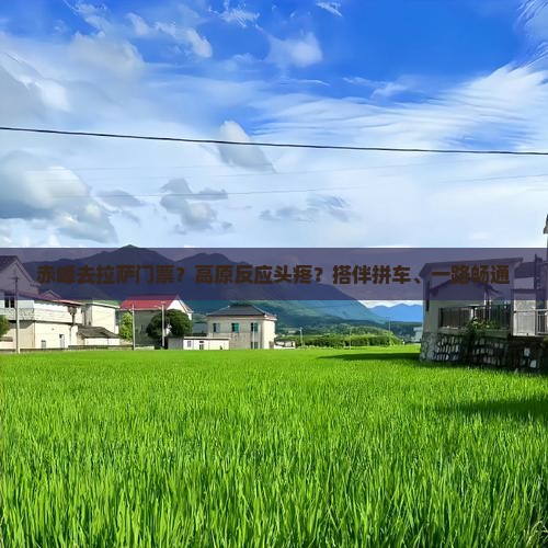 赤峰去拉萨门票？高原反应头疼？搭伴拼车、一路畅通