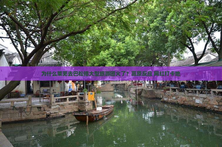 为什么莱芜去巴松措大型旅游团火了？高原反应+网红打卡地