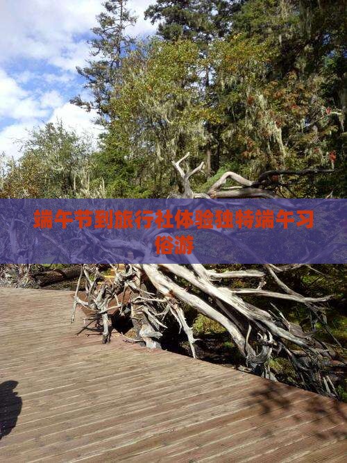端午节到旅行社体验独特端午习俗游