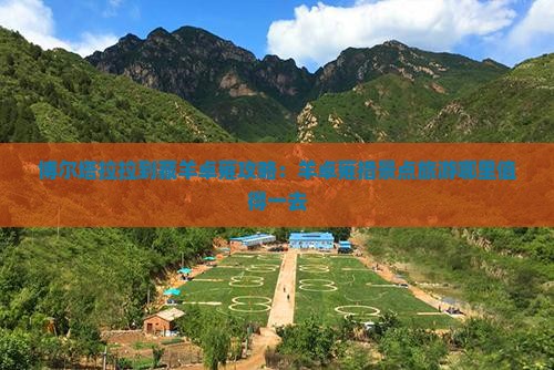 博尔塔拉拉到藏羊卓雍攻略：羊卓雍措景点旅游哪里值得一去