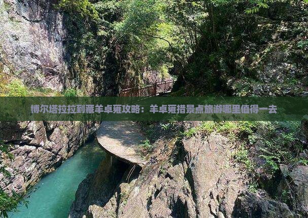 博尔塔拉拉到藏羊卓雍攻略：羊卓雍措景点旅游哪里值得一去
