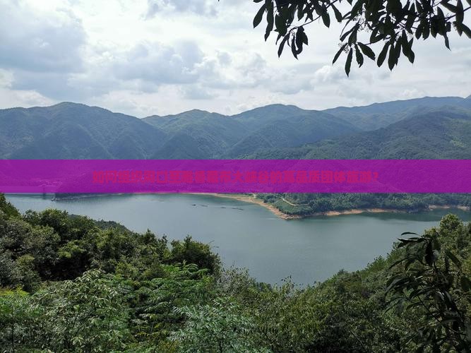 如何组织周口至雅鲁藏布大峡谷的高品质团体旅游？