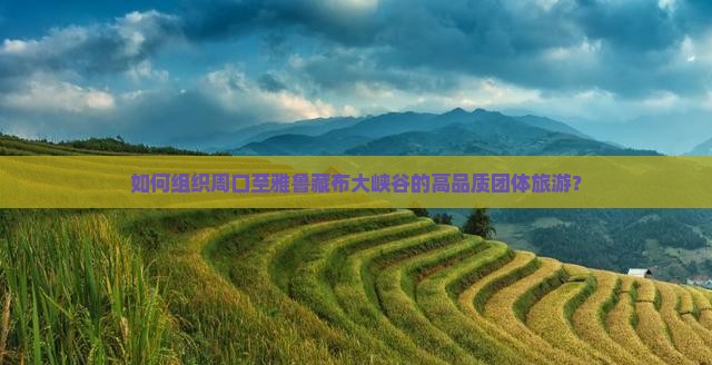 如何组织周口至雅鲁藏布大峡谷的高品质团体旅游？