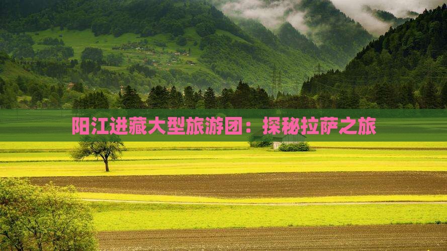 阳江进藏大型旅游团：探秘拉萨之旅