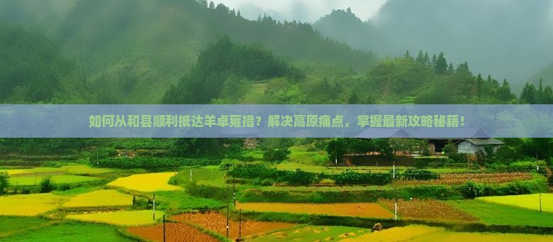 如何从和县顺利抵达羊卓雍措？解决高原痛点，掌握最新攻略秘籍！