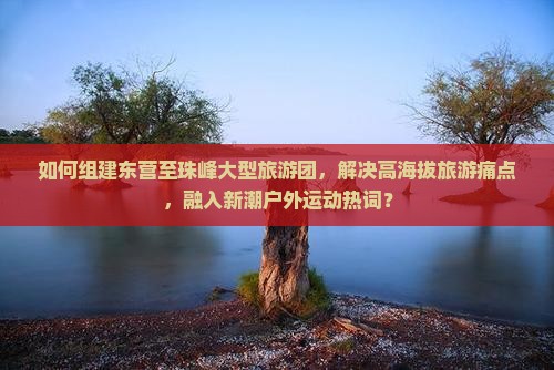 如何组建东营至珠峰大型旅游团，解决高海拔旅游痛点，融入新潮户外运动热词？