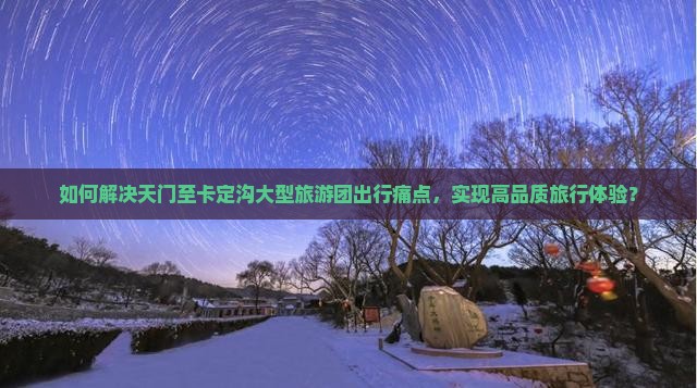如何解决天门至卡定沟大型旅游团出行痛点，实现高品质旅行体验？