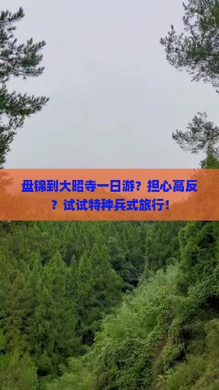 盘锦到大昭寺一日游？担心高反？试试特种兵式旅行！
