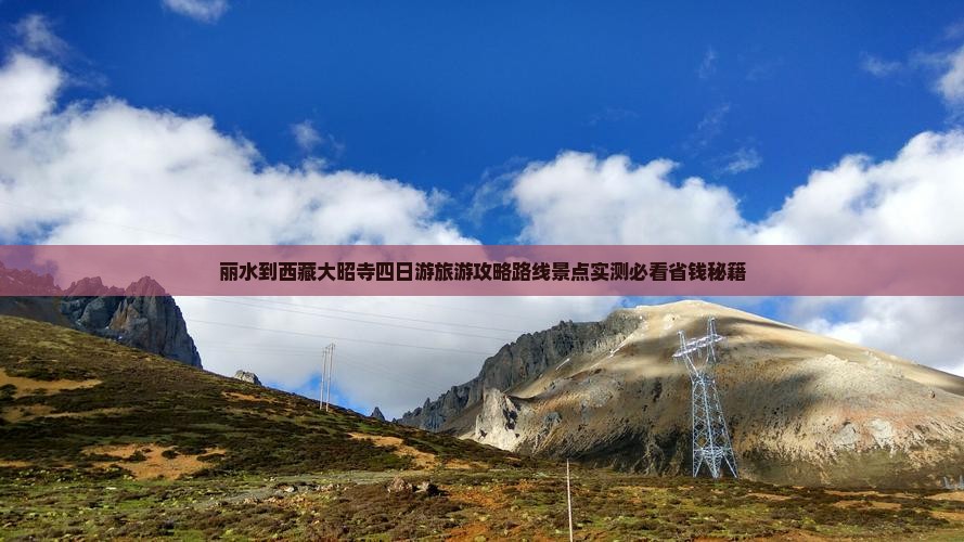 丽水到西藏大昭寺四日游