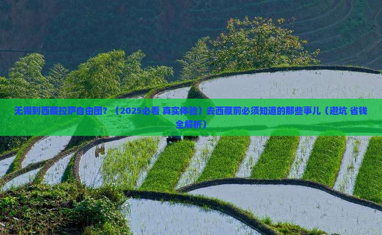 无锡去西藏拉萨自由团