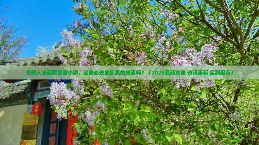 亳州去西藏鲁朗小镇必去地