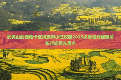 武夷山到西藏卡定沟旅游小吃