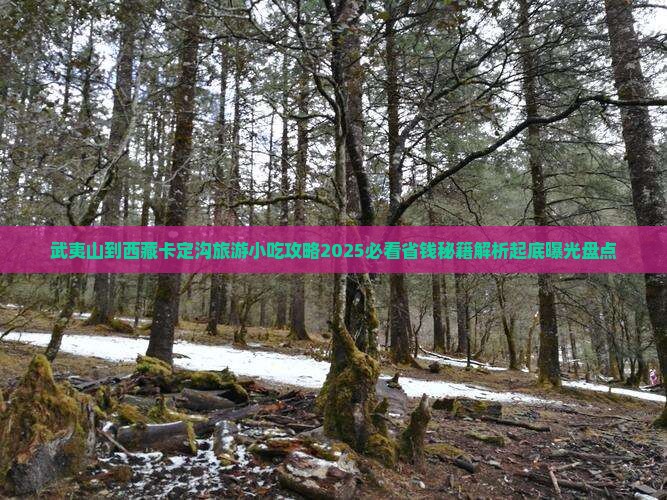武夷山到西藏卡定沟旅游小吃