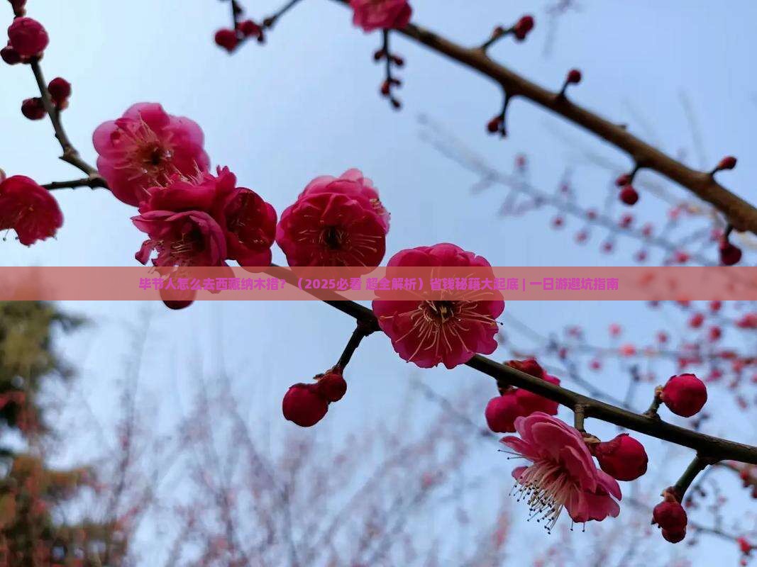 毕节去西藏纳木措一日