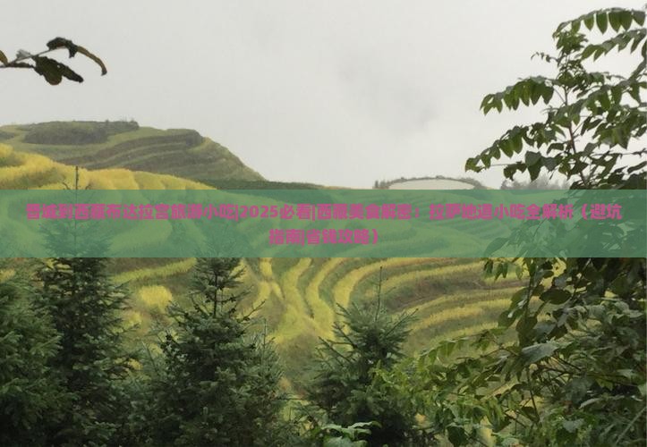 晋城到西藏布达拉宫旅游小吃