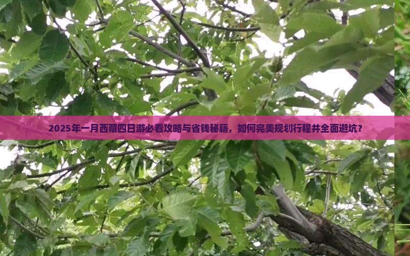 一月到西藏四日游