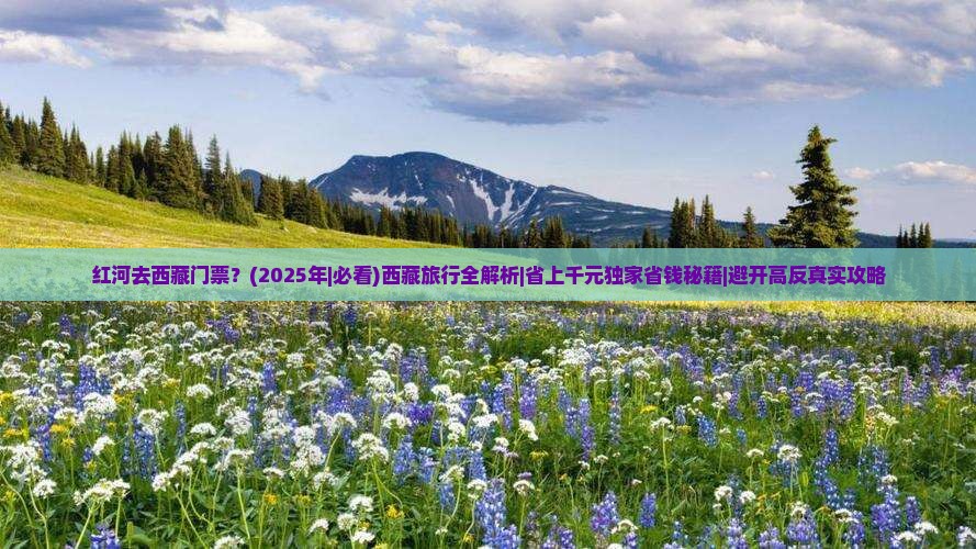 红河去西藏门票