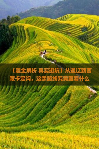 通辽去西藏卡定沟必去地