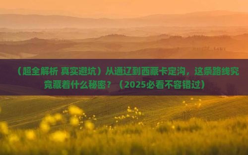 通辽去西藏卡定沟必去地