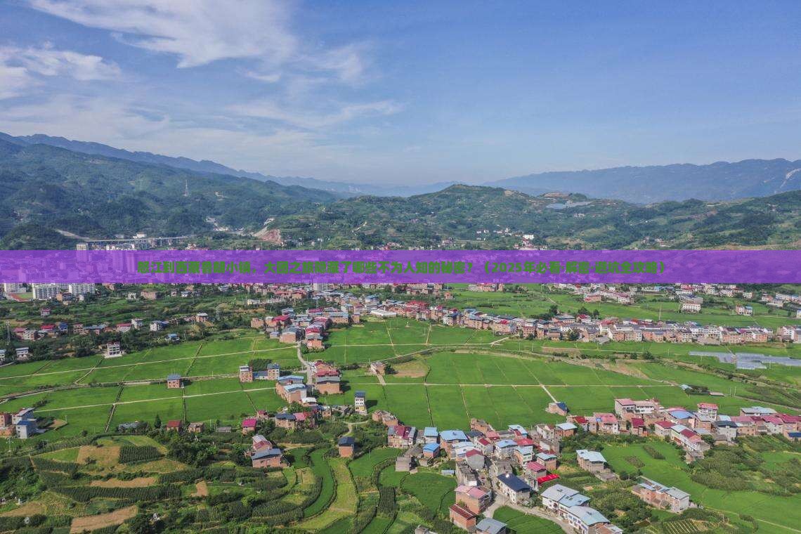 怒江到西藏鲁朗小镇大型旅游团