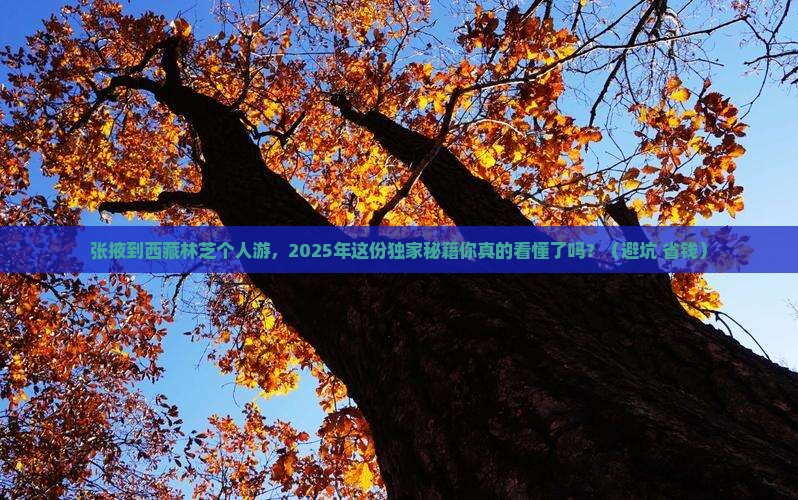 张掖到西藏林芝个人游