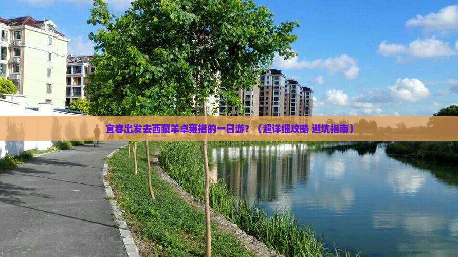 宜春到西藏羊卓雍措一日