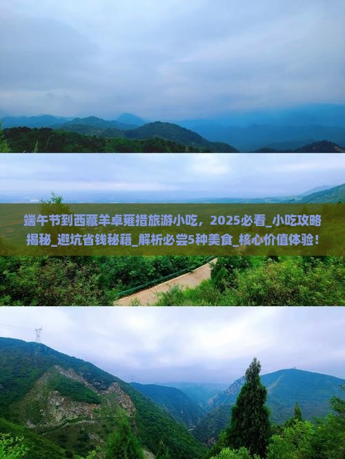 端午节到西藏羊卓雍措旅游小吃