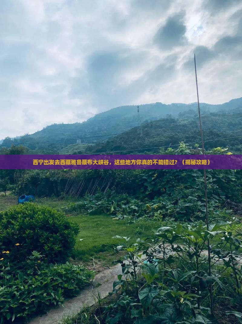 西宁去西藏雅鲁藏布大峡谷必去地