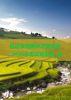 延边去西藏林芝哪里玩