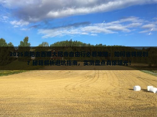 资阳去西藏大昭寺自由行 资阳去西藏大昭寺自由行