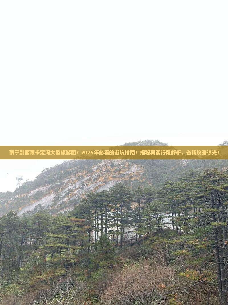 南宁到西藏卡定沟大型旅游团