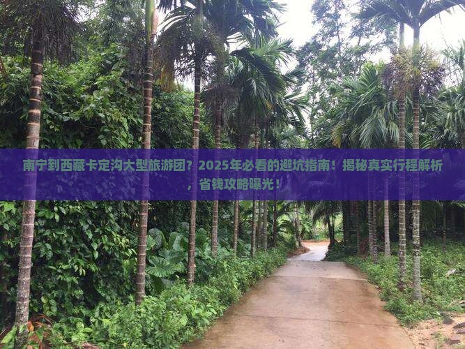 南宁到西藏卡定沟大型旅游团