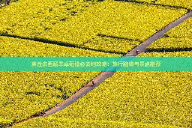 商丘去西藏羊卓雍措必去地