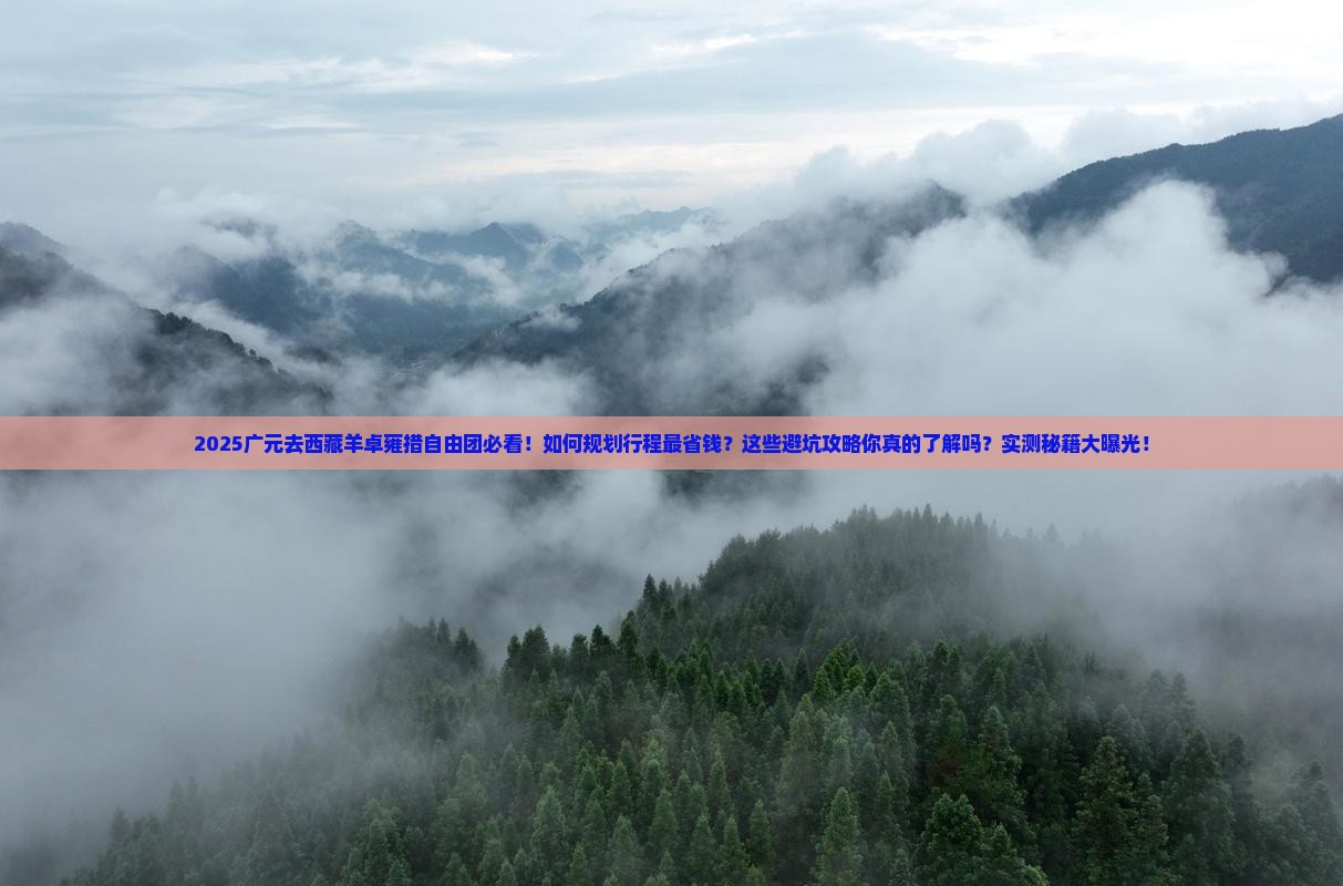 广元去西藏羊卓雍措自由团